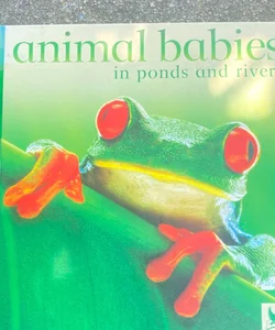 Animal Babies in Ponds and Rivers