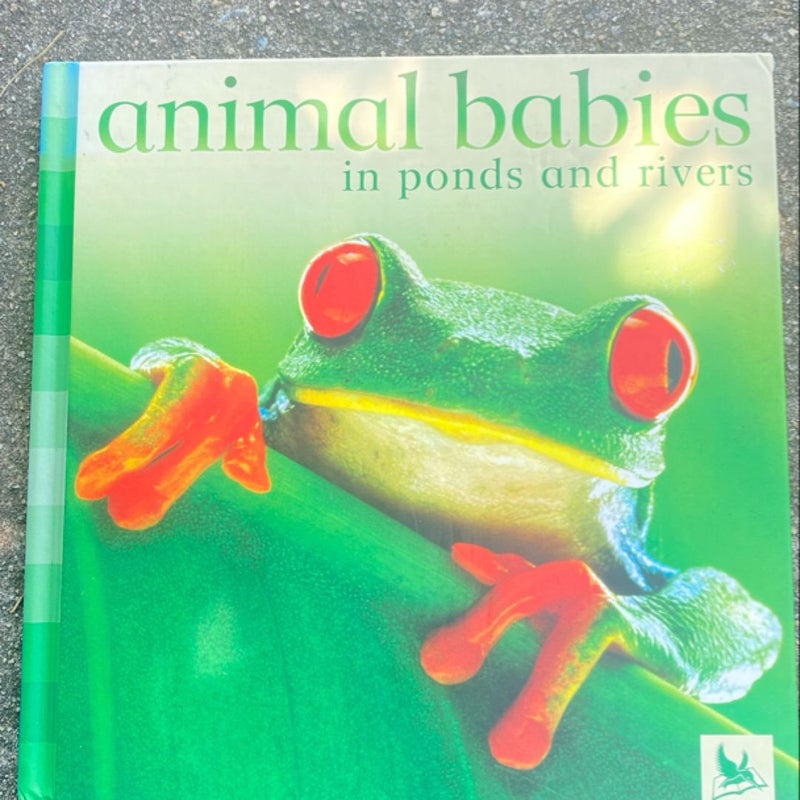 Animal Babies in Ponds and Rivers