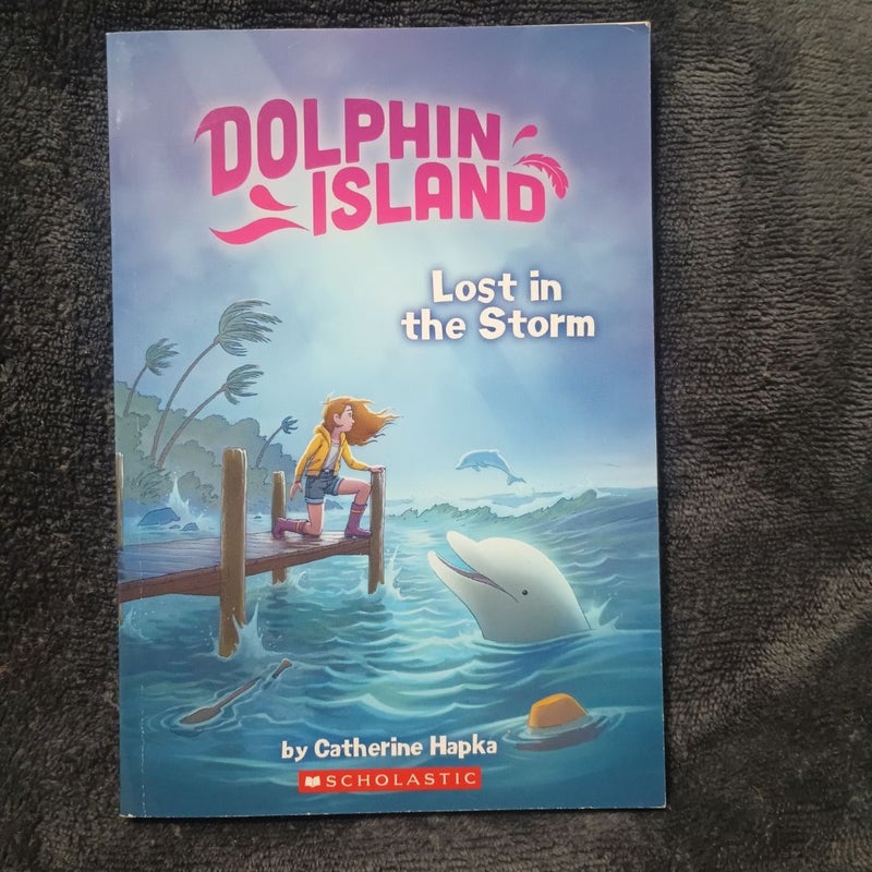 Lost in the Storm (Dolphin Island #2)