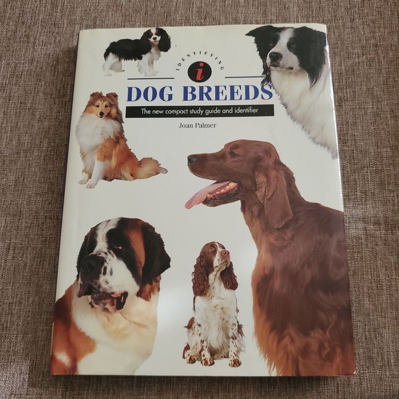 A Dog's Life Bundle