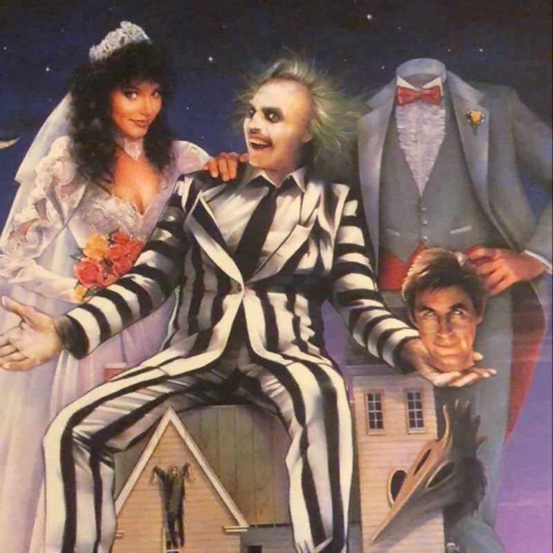 DVD -  Beetlejuice   -  DVD movie 