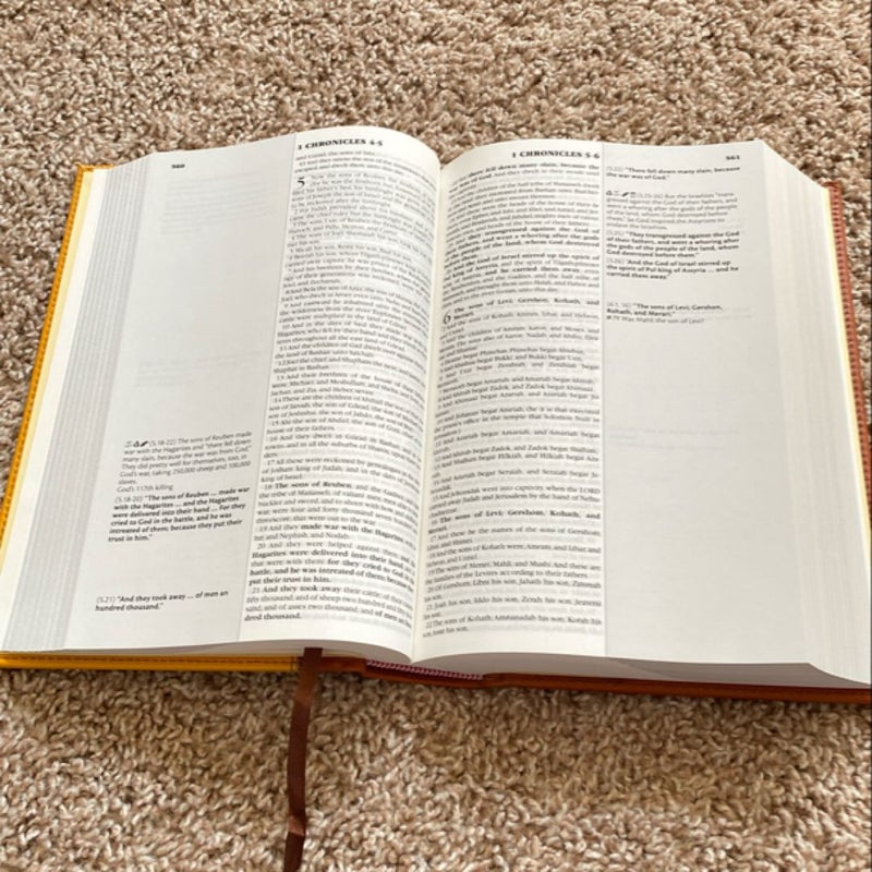 The Skeptic's Annotated Bible