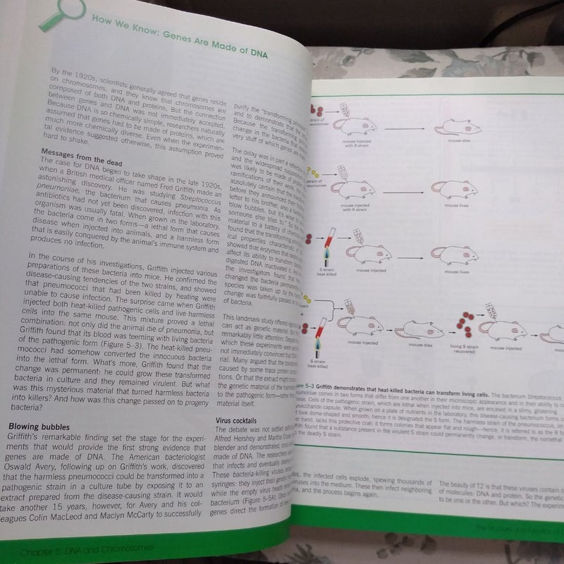 Essential Cell Biology