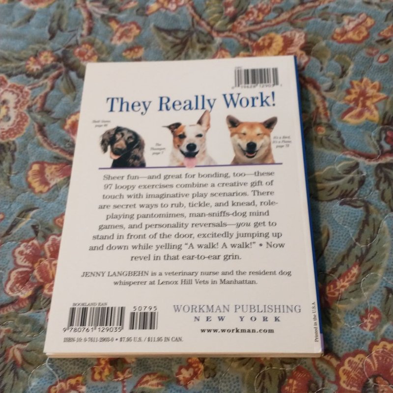 97 Ways to Make a Dog Smile by Jenny Langbehn, Pat Doyle