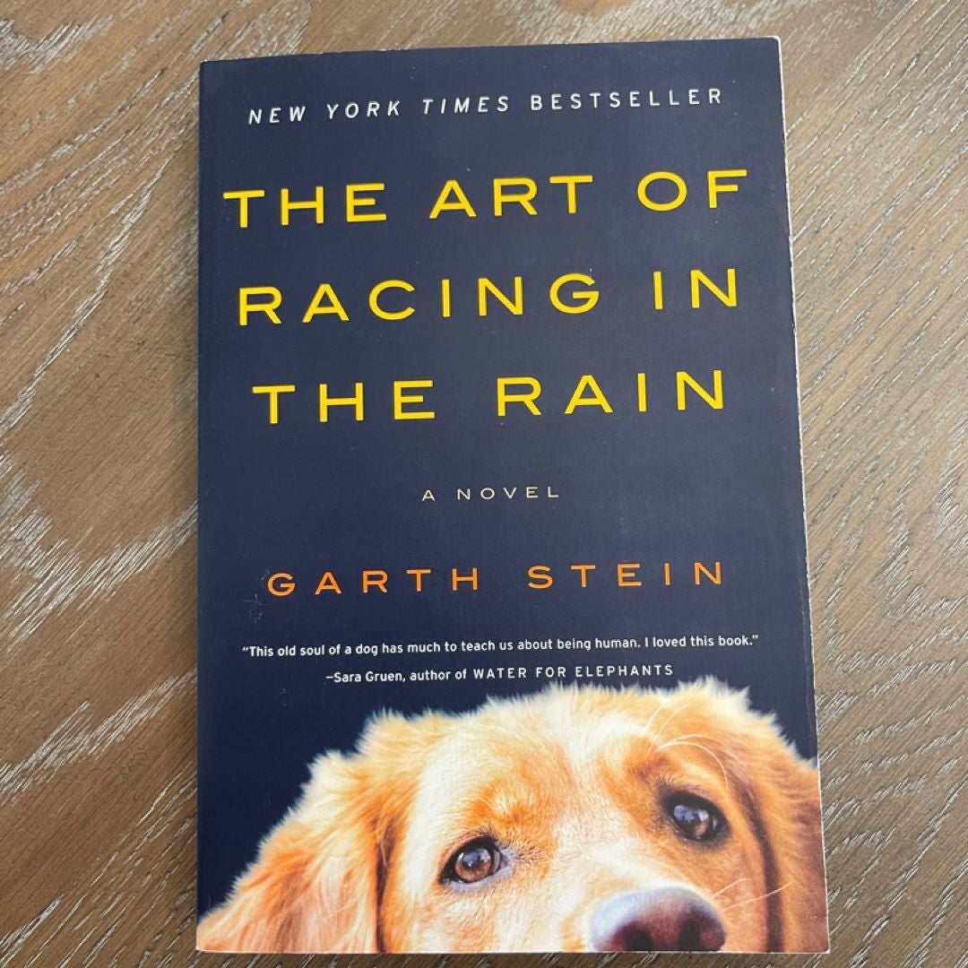 The Art of Racing in the Rain