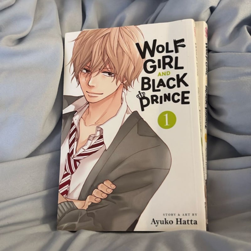 Wolf Girl and Black Prince, Vol. 1