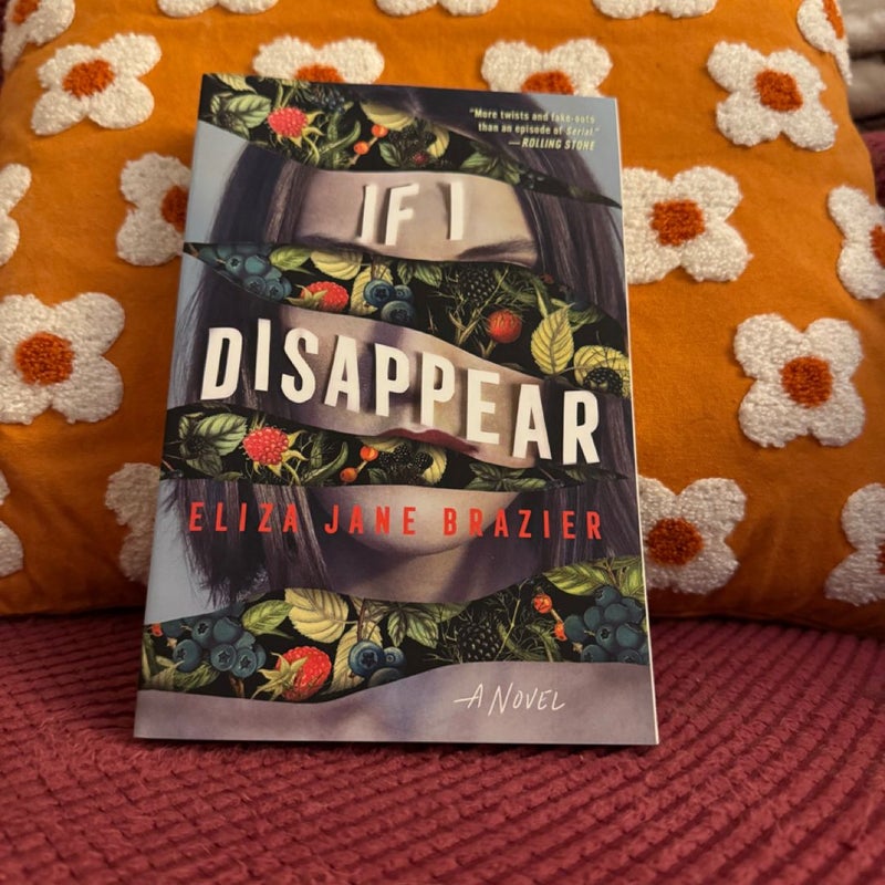 If I Disappear