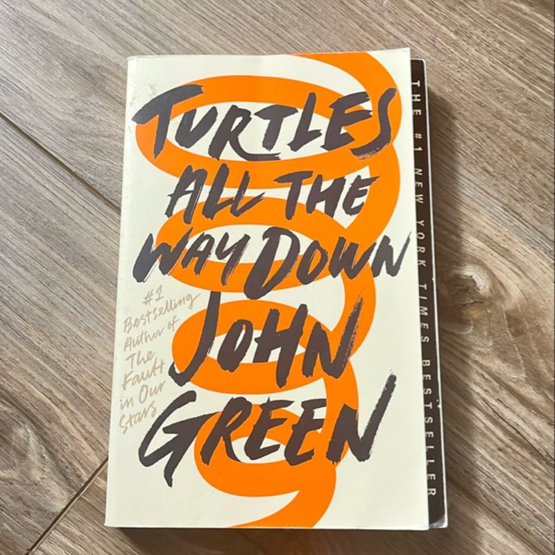 Turtles All the Way Down