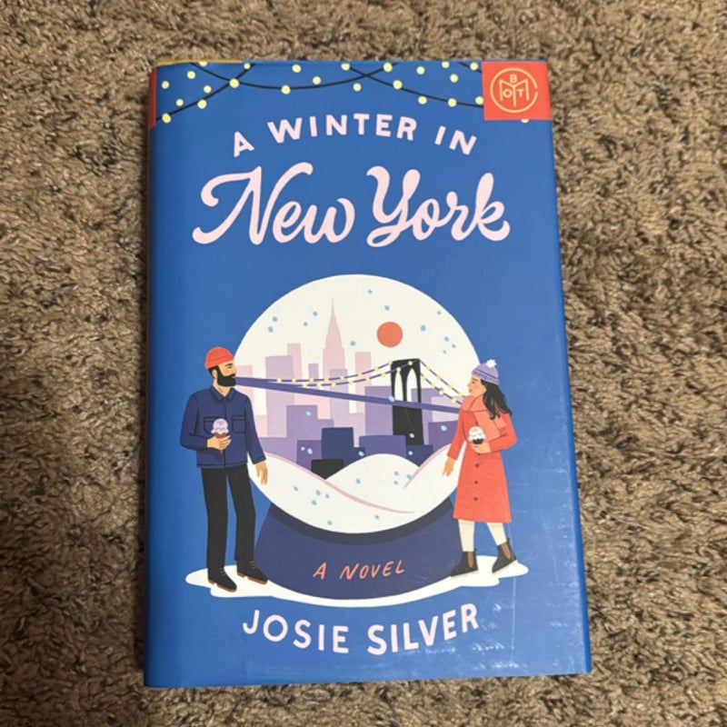 A Winter in New York