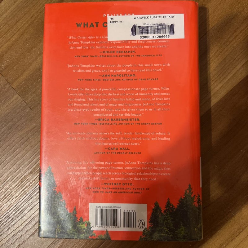 what-comes-after-by-joanne-tompkins-hardcover-pangobooks