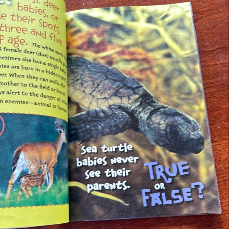 Baby Animals (Scholastic True or False)