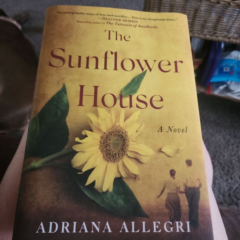 The Sunflower House