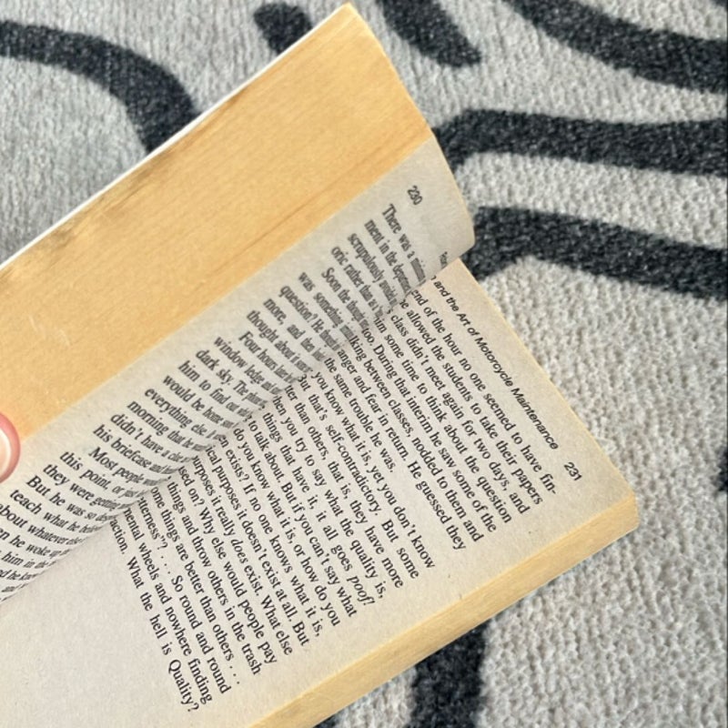 Zen and the Art of Motorcycle Maintenance
