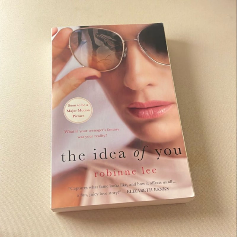 The Idea of You