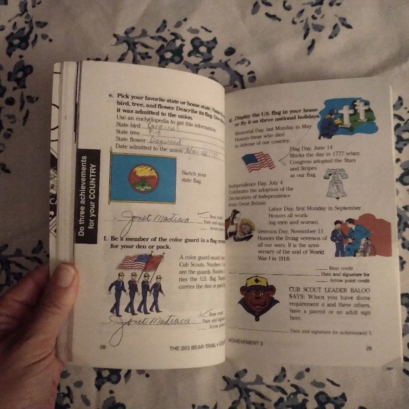 The Big Bear Cub Scout Book