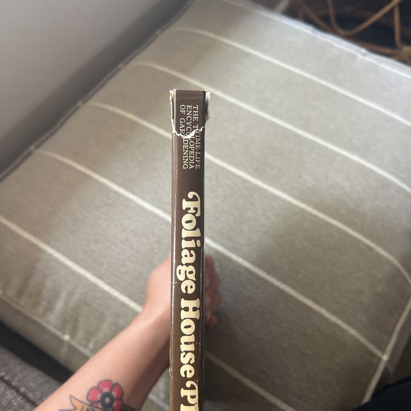 Foliage House Plants