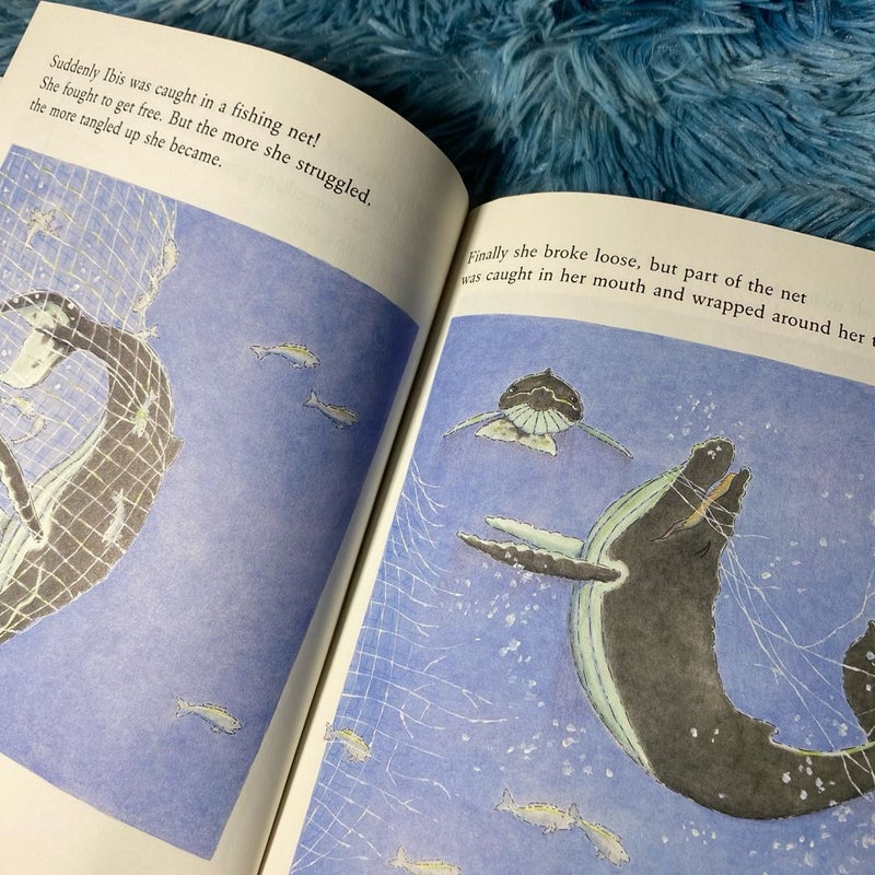 True Whale Story