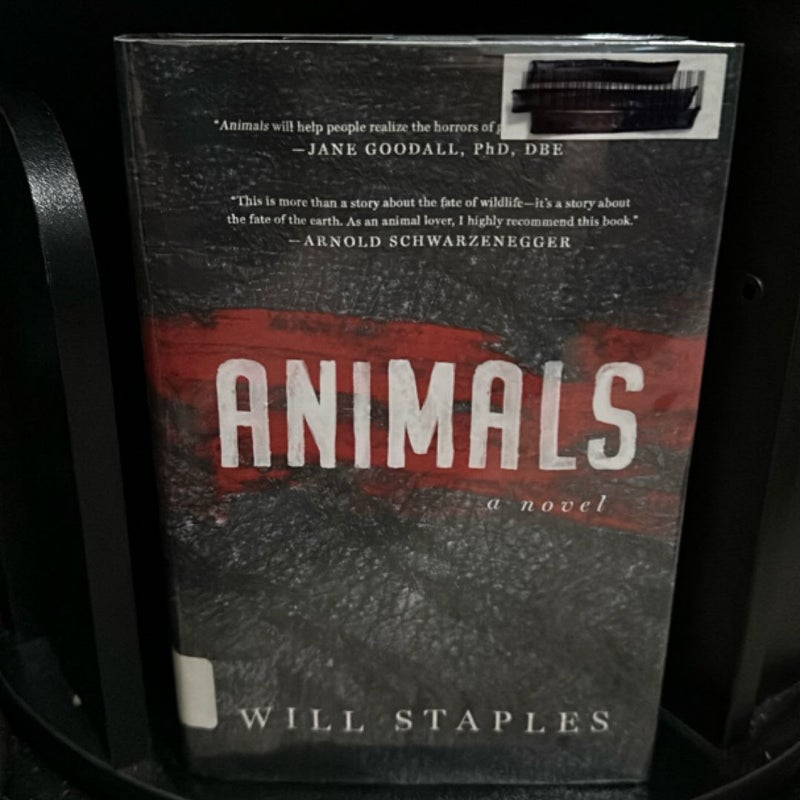 Animals