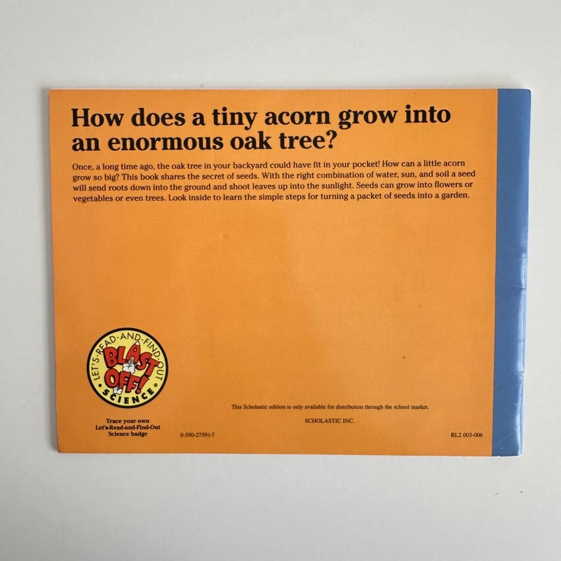 How a Seed Grows