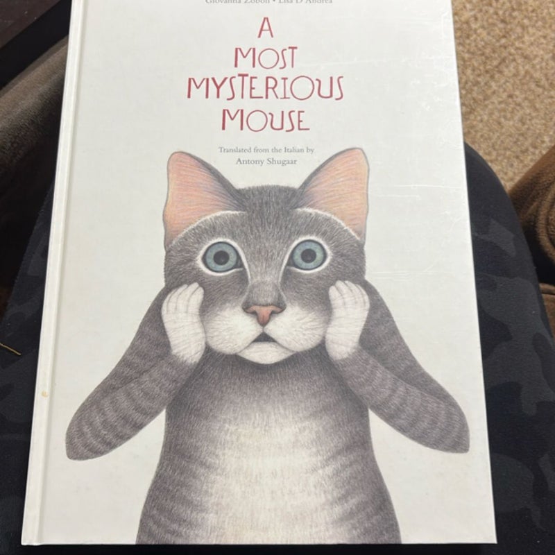 A Most Mysterious Mouse