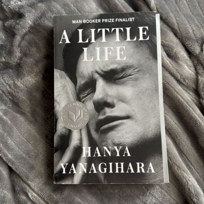 A Little Life