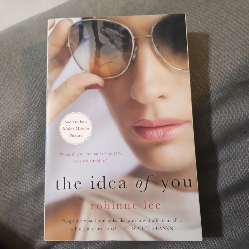 The Idea of You