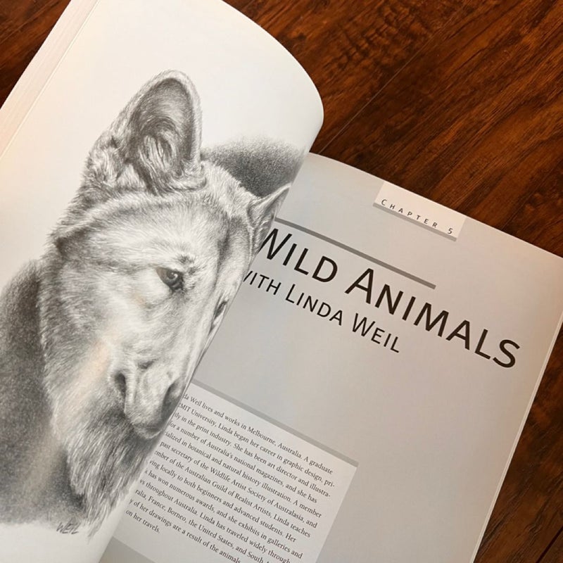 The Art of Drawing Animals