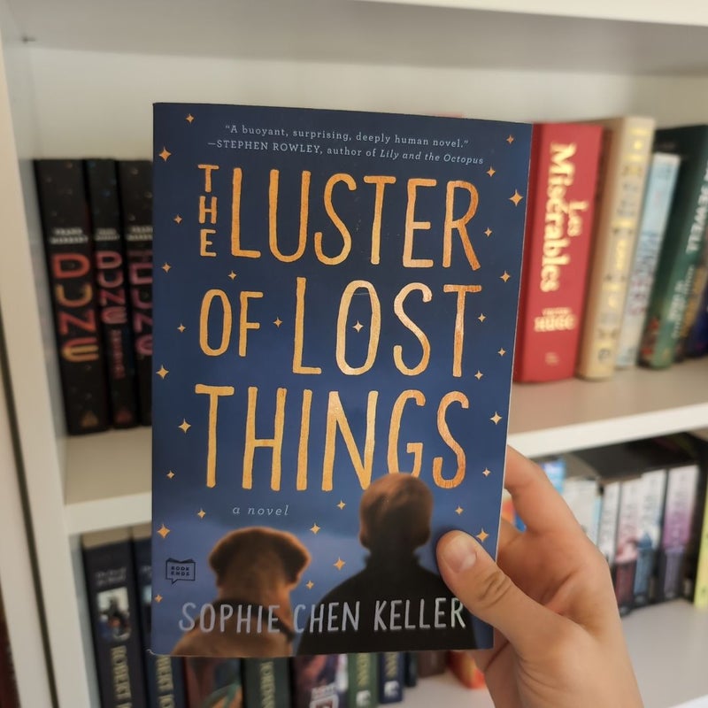 The Luster of Lost Things