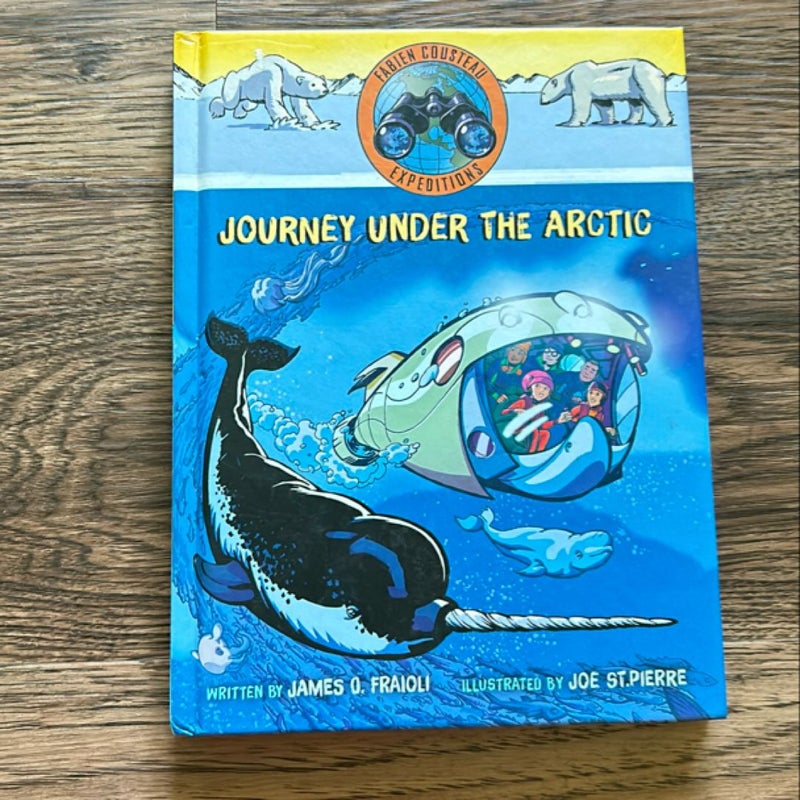 Journey under the Arctic