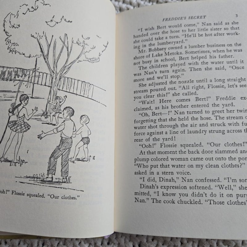 The Bobbsey Twins: The Adventure in the Country