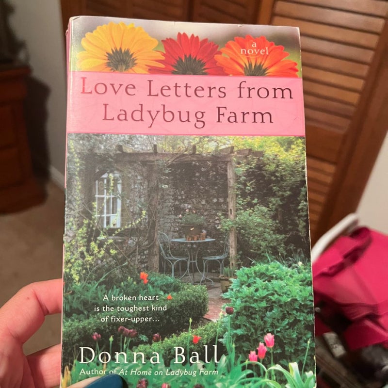 Love letters from ladybug farm