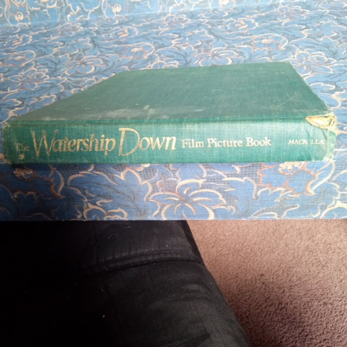 WATERSHIP DOWN BOOK SYNOPSIS visual data 6