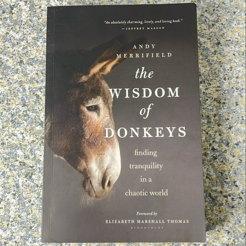 The Wisdom of Donkeys