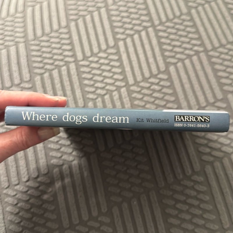 Where Dogs Dream