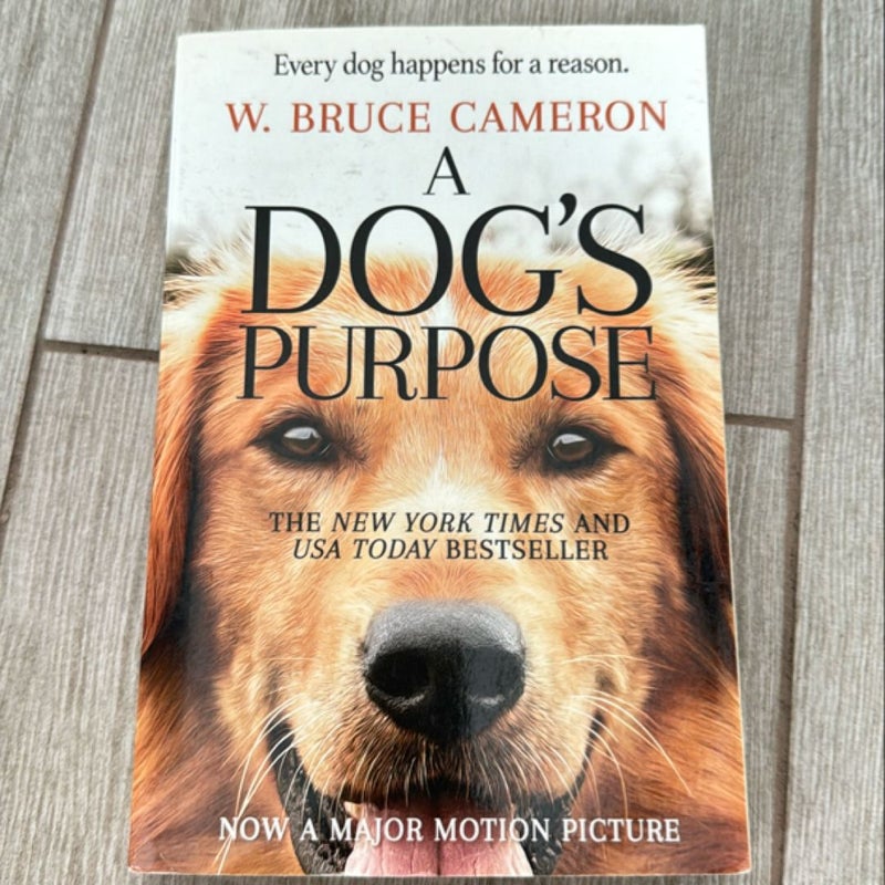 A Dog’s Purpose 