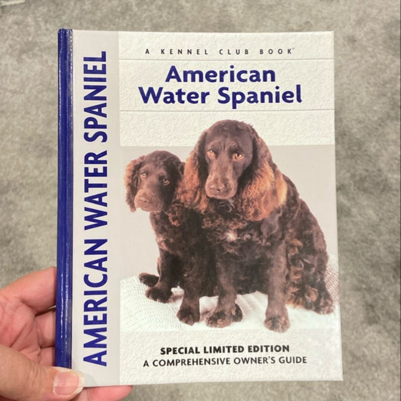 American Water Spaniel