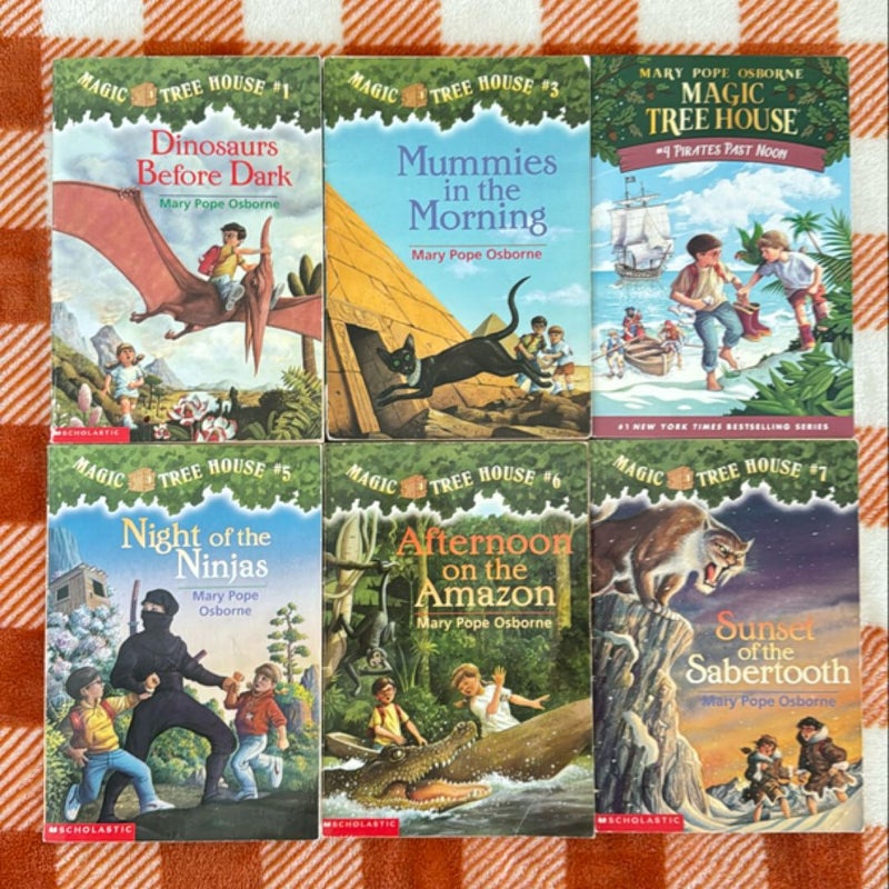 Magic Tree House bundle 