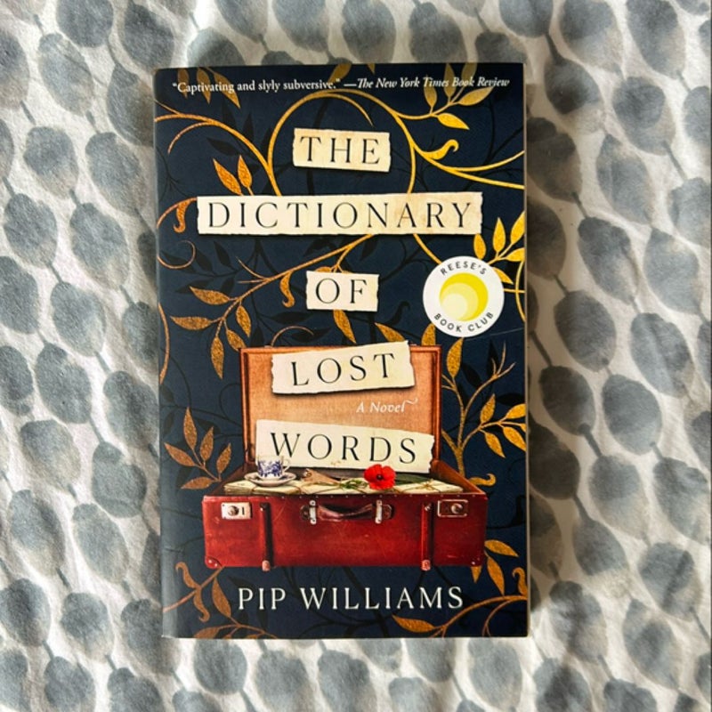 The Dictionary of Lost Words