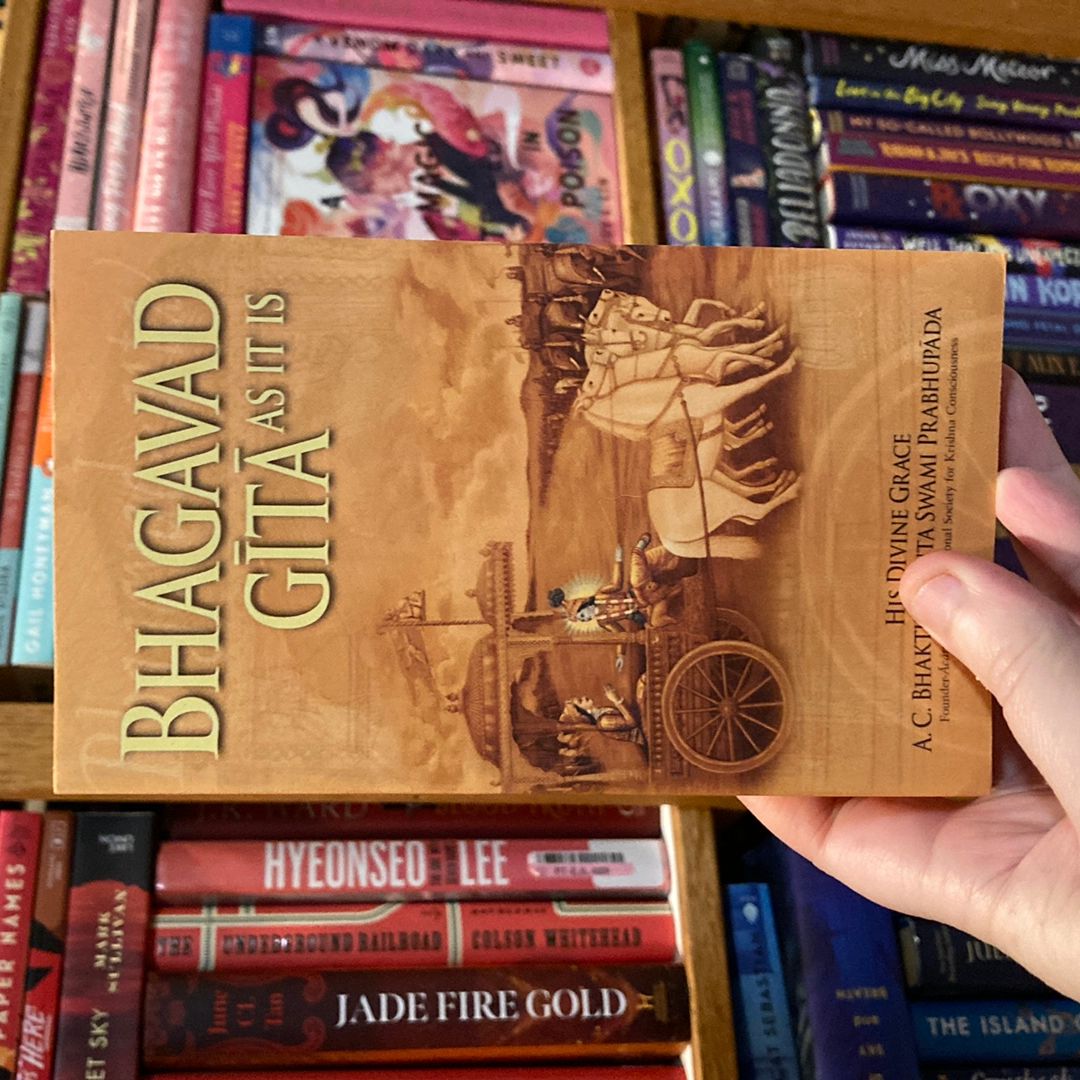 Sale image for 9220c1bc-dba2-4e88-8d2c-9af80a7defa3-rrdQGZdLaUYKI2S1pdqeXl7tujd2