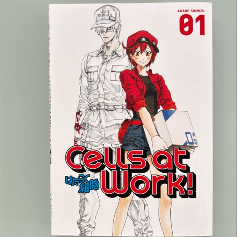 Cells at Work! 1