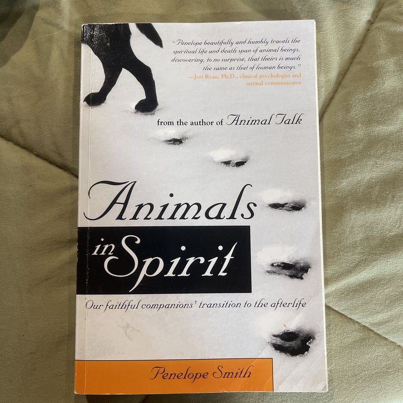 Animals in Spirit