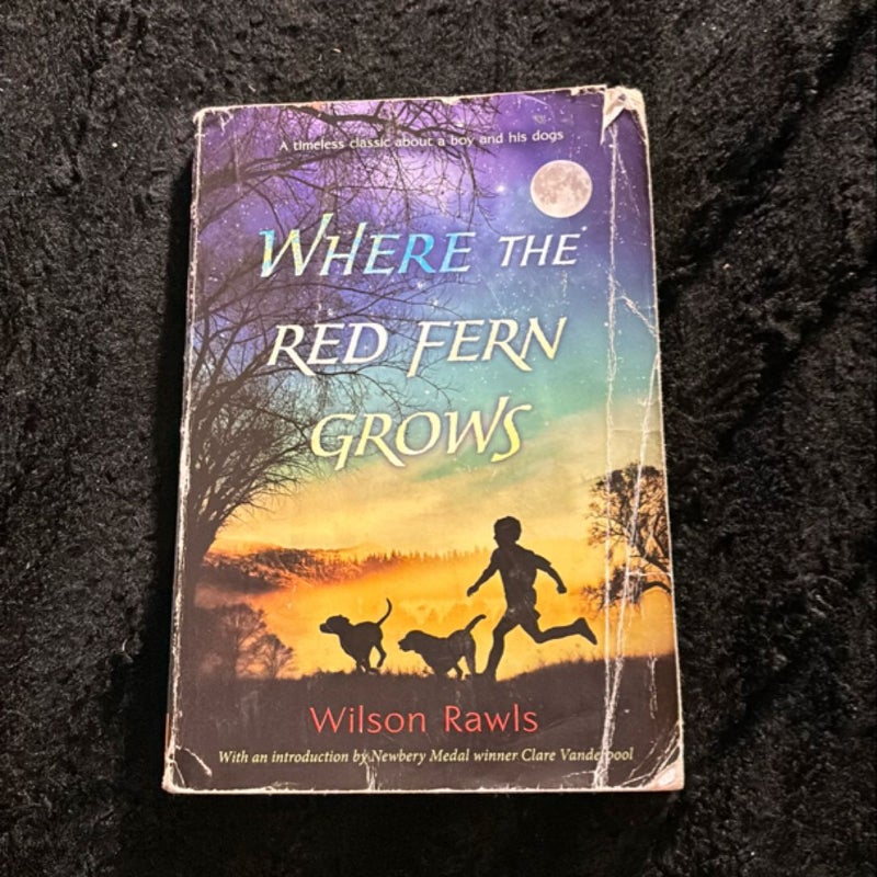 Where the Red Fern Grows