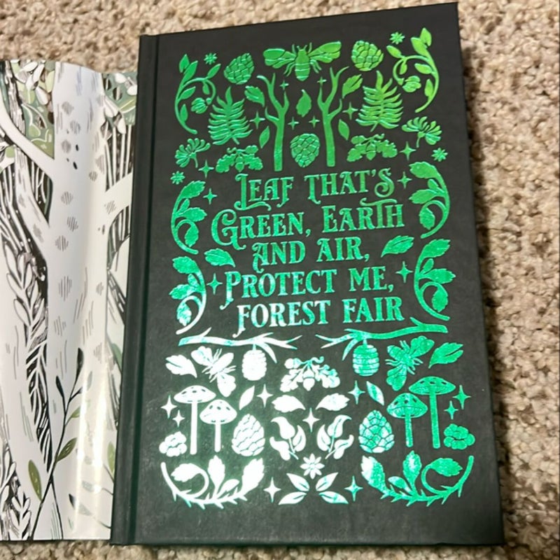 After The Forest - FairyLoot