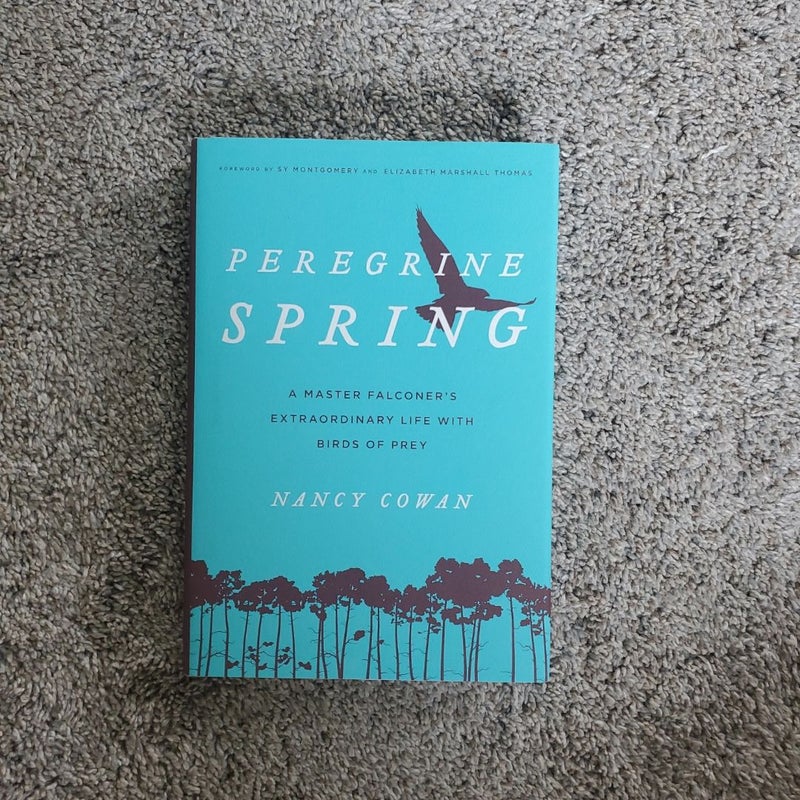 Peregrine Spring (Signed)