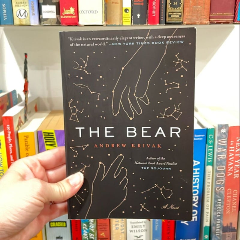 The Bear