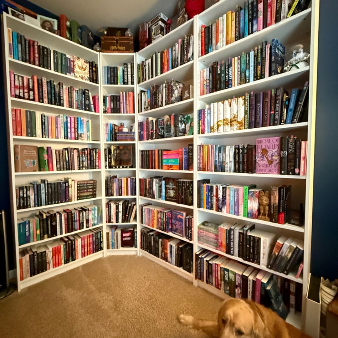 Schmitziees Library 📚