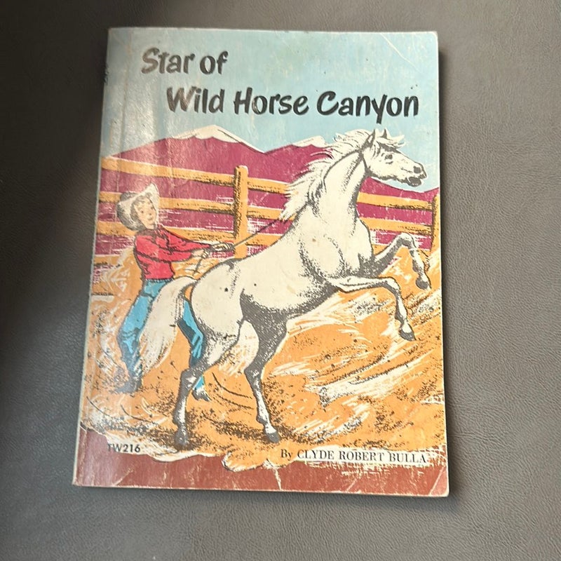 Star of Wild Horse Canyon