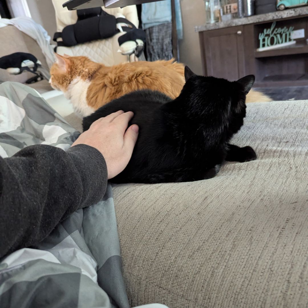 Tess’s Book Cellar