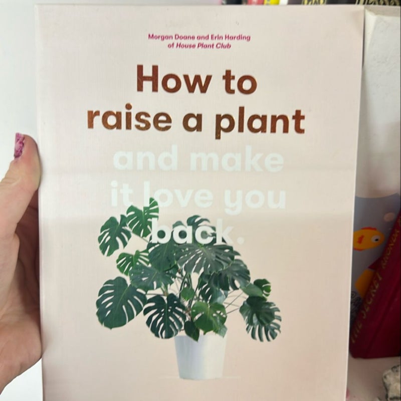 How to Raise a Plant