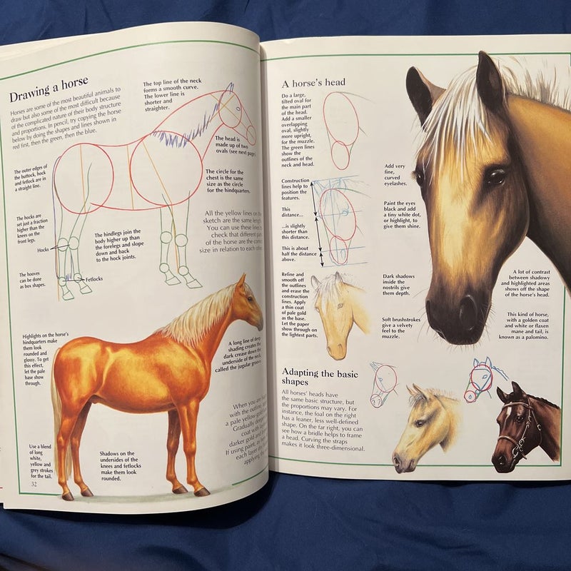 The Usborne Complete Book of Drawing